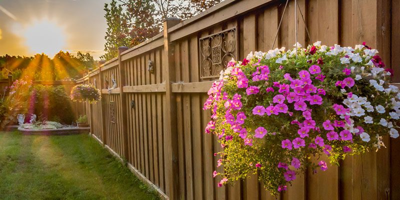Add Beauty and Interest to Your Property with Decorative Fencing